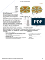 Radar Basics - Phased Array Antenna.pdf
