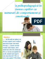 329096450-SINDROMUL-adhd-ppt.ppt