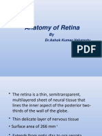 Anatomy of Retina