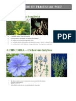 Glosario de Especies Con Fotos PDF