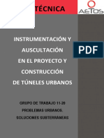 AETOS-WG-11_20-Auscultación-de-Túneles-BORRADOR-JORNADA-17-DE-JUNIO.pdf