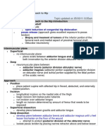 Anteromedial Hip Approach Guide