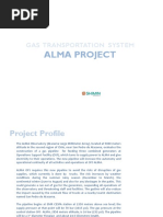 ALMA Project Presentation.pdf