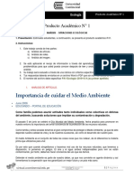 Producto Académico N1 - Ecología 2019-10-A