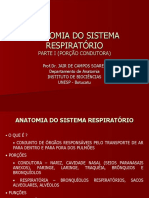 Anatomia Do Sistema Respiratorio I