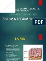 sistema tegumentario