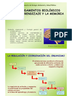 4-SISTEMA NERVIOSO.pdf
