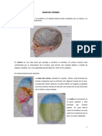 ##Base de cráneo.pdf