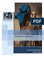 Seguridad e Higiene Industrial PDF
