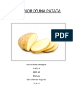 patata.docx