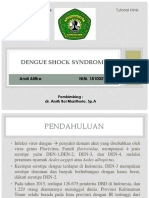 Dengue Shock Syndrome: Andi Alifka NIM. 1810029017
