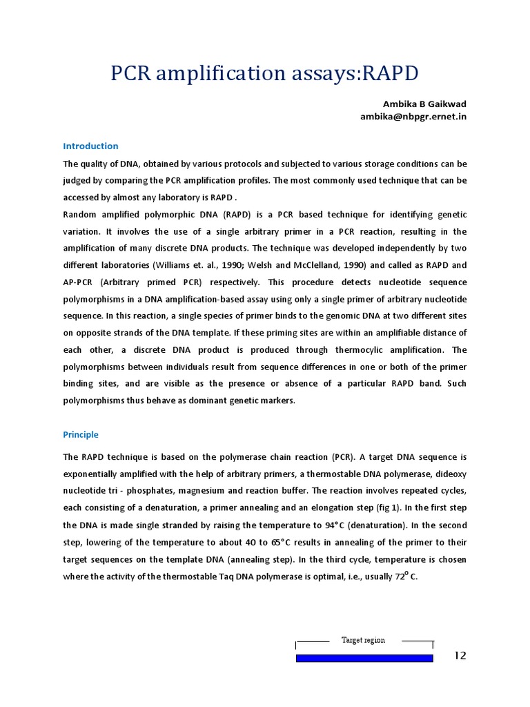 RAPD PCR Amplification Protocol | PDF | Polymerase Chain Reaction ...