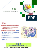 第三次课 内膜系统 PDF