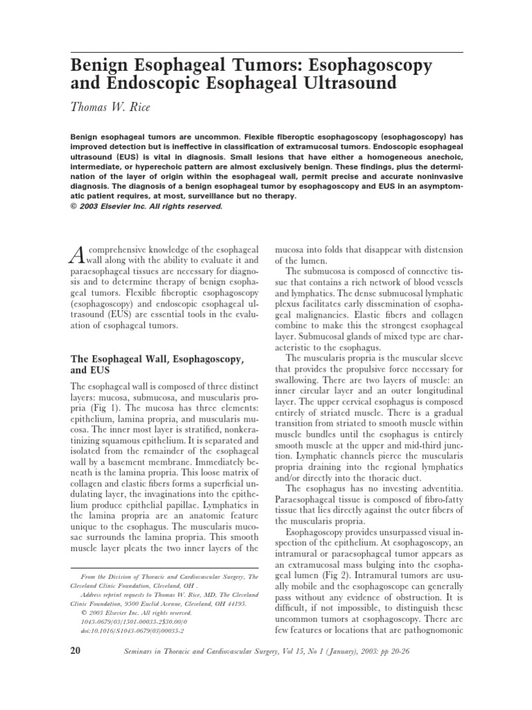 Benign Esophageal Tumors: Esophagoscopy and Endoscopic Esophageal ...