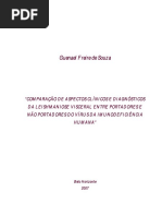 2007_mestrado_guenael_souza.pdf