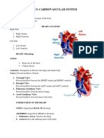 Cardiovascular-System (1).docx
