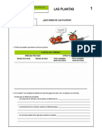 03 Las Plantas Alumnado