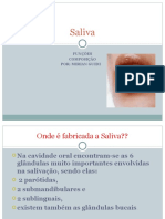 Aula Saliva