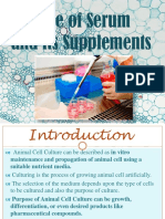 Role of Serum and Its Supplements