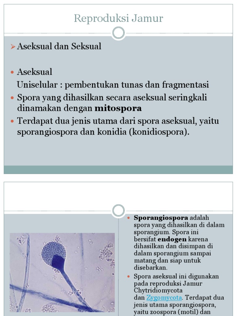 Erkak va ayol ortasidagi jinsiy aloqa