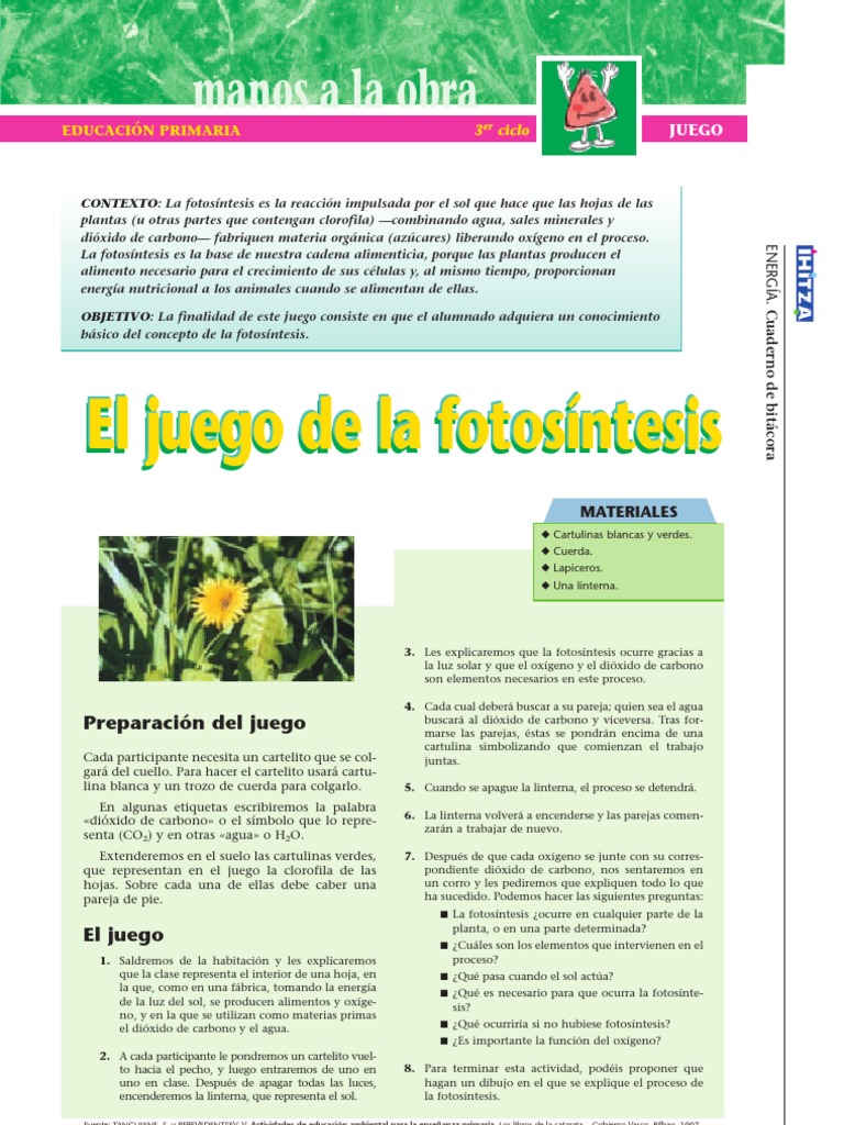 Fotosintesis | PDF | Fotosíntesis | Plantas