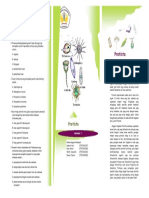 Leaflet Protista Sederhana