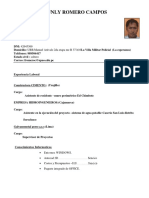 CV FUNLY ROMERO CAMPOs.docx