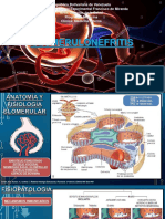 GLOMERULONEFRITIS