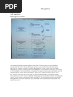 Descriçao situacional  - efeito pigmaleao.docx