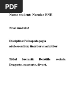 Neculae ENE-Relatiile Sociale