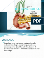 Perfil Pancreatico
