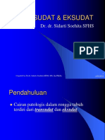 6. Transudat Dan Eksudat by Dr. Sidarti