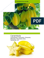 Presentación1-CARAMBOLA.pptx