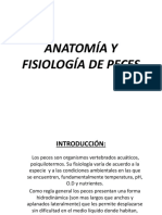 Peces PDF