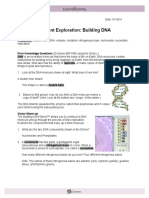 Student Exploration Building DNA