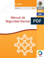 Manual de Seguridad-Web 290212