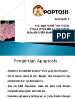 Biosel 5. Apoptosis
