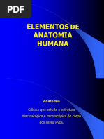 anatomia