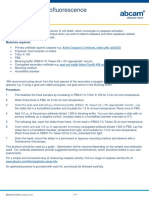 Caspase Immunofluorescence Protocol