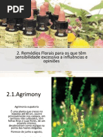Remédios Florais Para Os Que Têm Sensibilidade Excessiva a Influências e.pptx