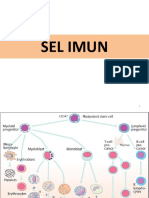09 - Sel Imun PDF