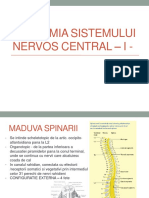 Anatomia Sistemului Nervos Central