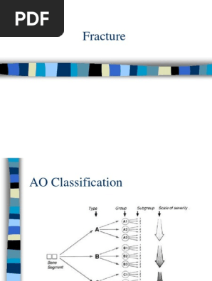 Fraktur Musculoskeletal Disorders Limbs Anatomy
