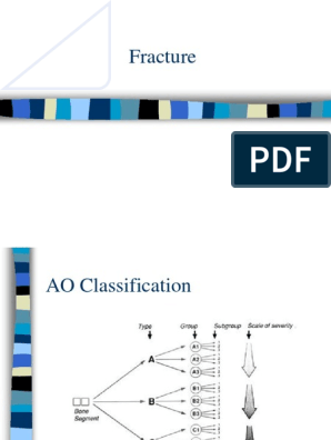 Fraktur Musculoskeletal Disorders Limbs Anatomy