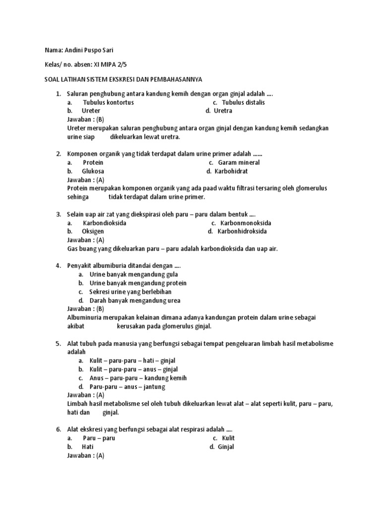 Soal Dan Jawaban Sistem Ekskresi Kelas Xi Ilmusosial Id