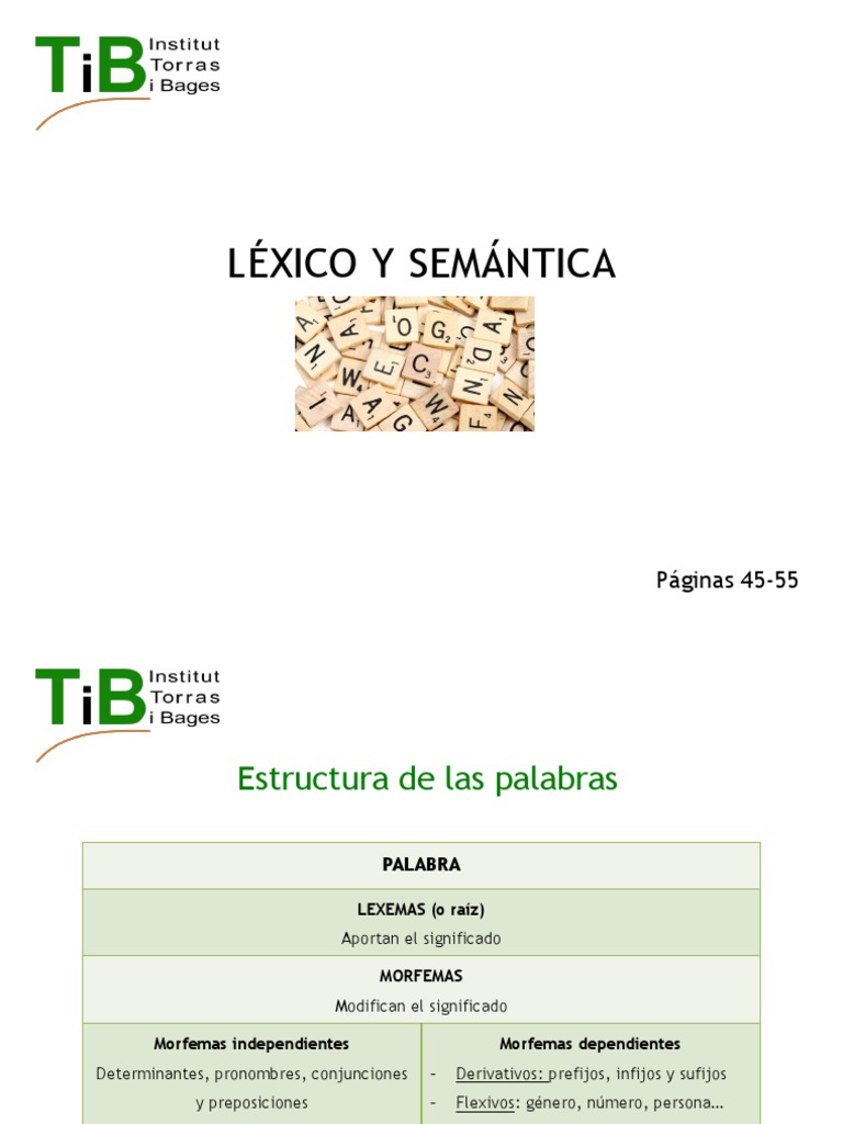 Léxico y Semántica | PDF | Palabra | Vocabulario