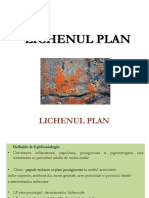 Curs Lichen Plan