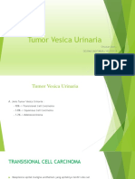 Tumor Vesica Urinaria - Devina Sagitania