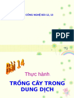 (123doc) Bai 14 Thuc Hanh Trong Cay Trong Dung Dich