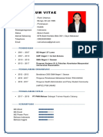 Curriculum Vitae Raini